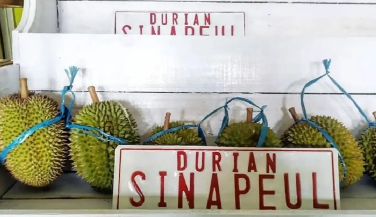 durian sinapeul majalengka