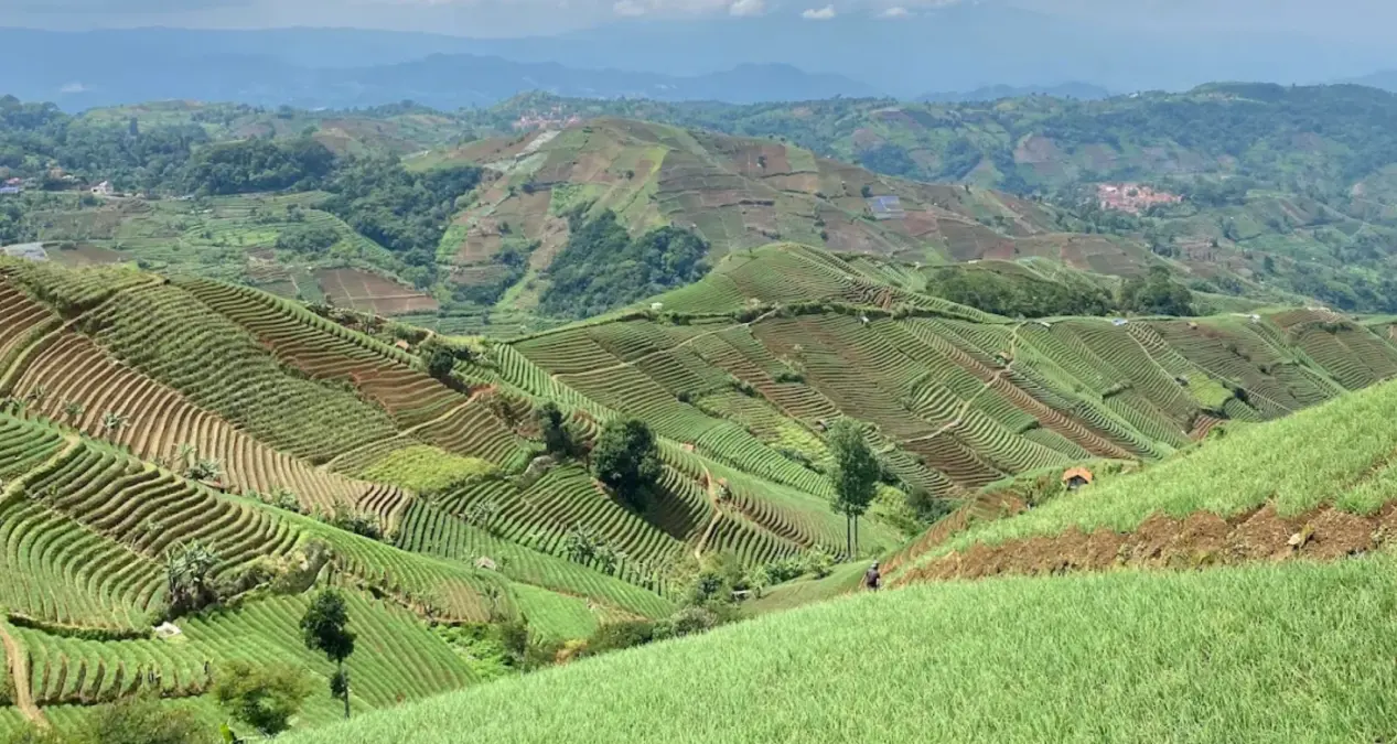 waktu terbaik berkunjung ke panyawean
