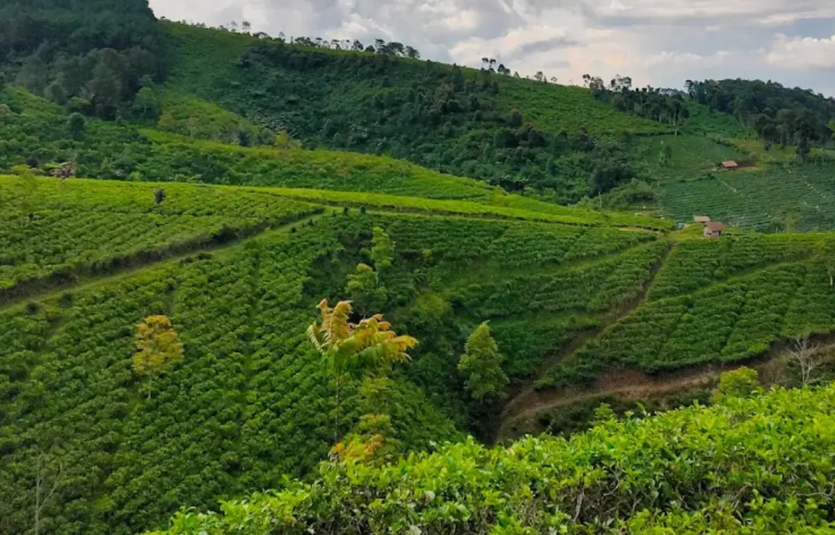 wisata majalengka murah meriah