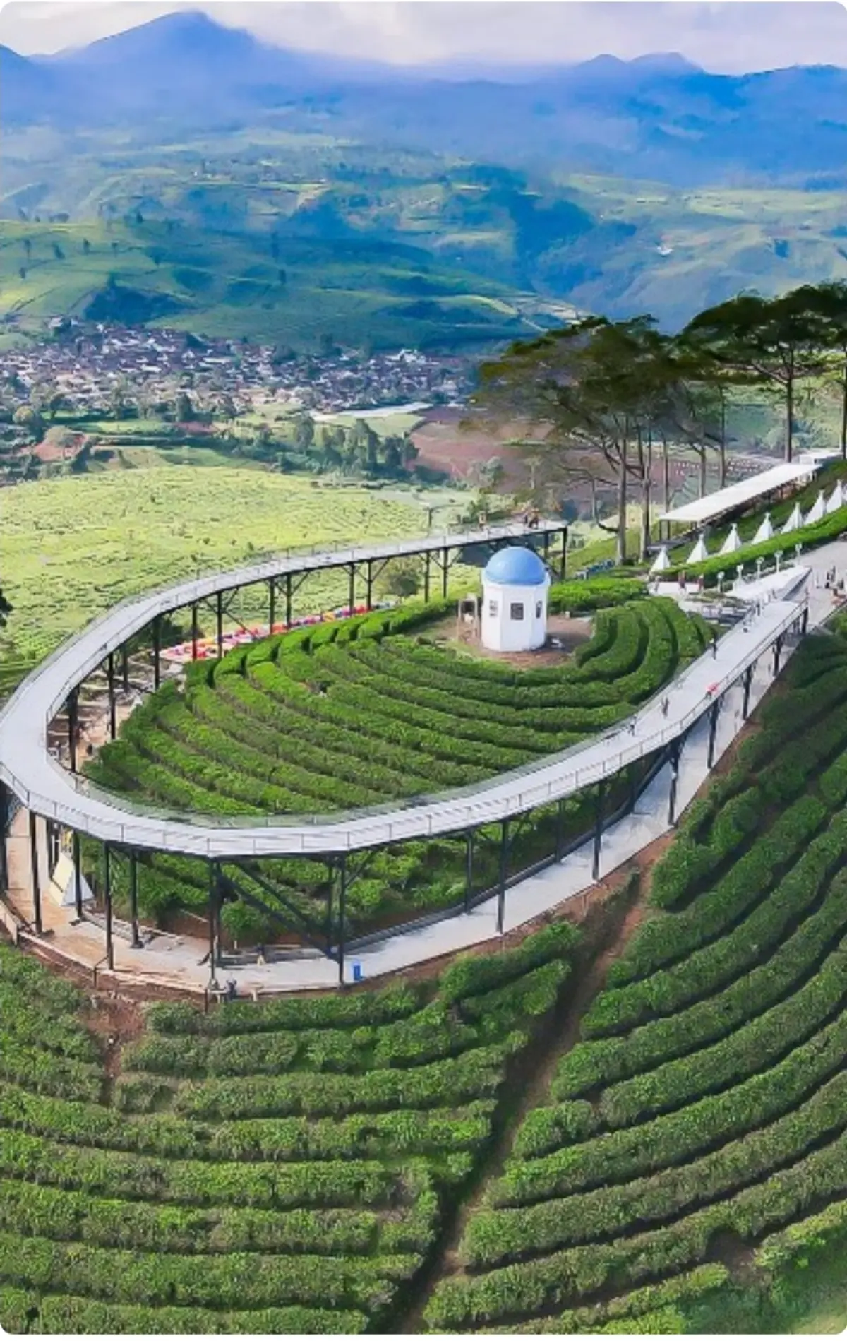 ilustrasi suasana Pangalengan Bandung