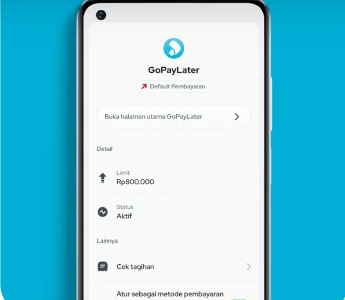 Penyebab Gopay Later diblokir