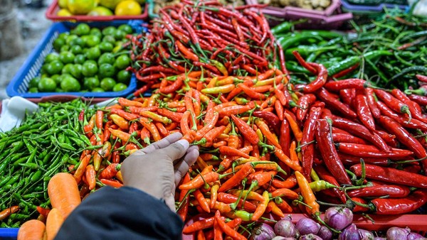 Menurut Pusat Informasi Harga Pangan Strategis (PIHPS) Nasional, yang dikelola Bank Indonesia, harga komoditas cabai rawit merah adalah Rp49.150/kg, dan harga telur ayam ras adalah Rp31.500/kg. Foto: detikcom - mimbarjumat.com