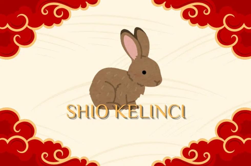 ramalan shio kelinci di tahun 2026