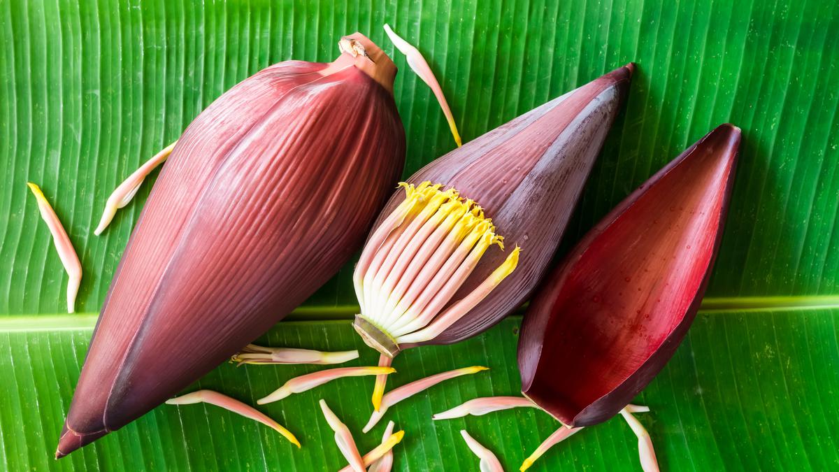 Jantung Pisang, Rahasia Superfood Lokal yang Bikin Tubuh Sehat.*mimbarjumat.com/ist