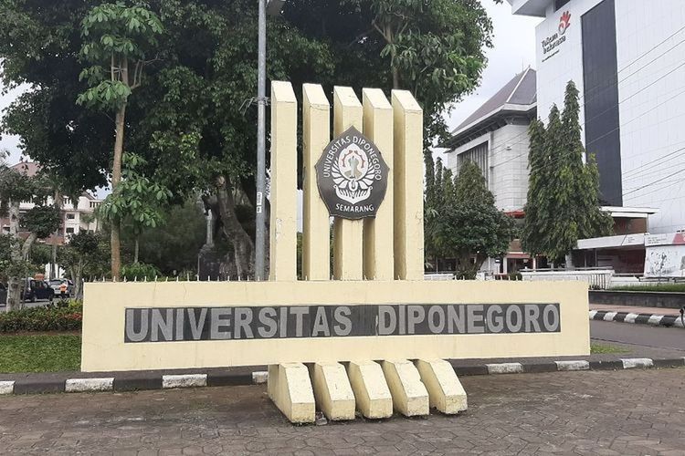 5 Jurusan dengan Biaya Kuliah Termurah di Undip, Cek Nominalnya! Foto: Kompas.com - mimbarjumat.com