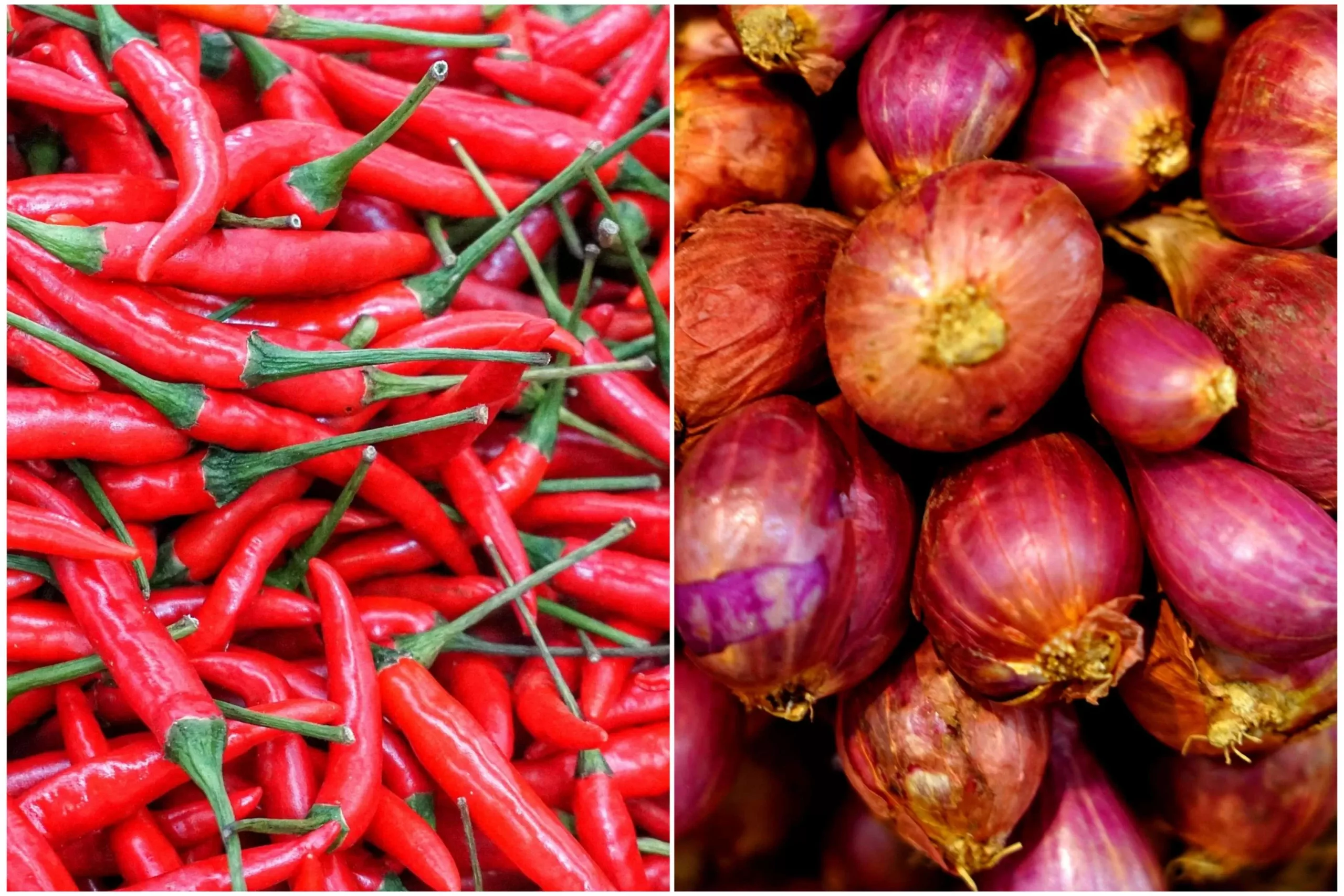 Bawang dan cabai mulai naik