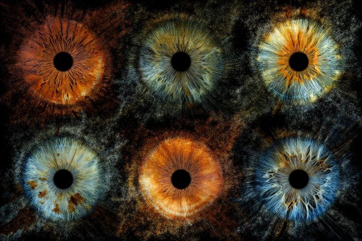 Perbedaan Warna Mata: Fakta Ilmiah dan Keunikan Visual. Foto: Istimewa - mimbarjumat.com
