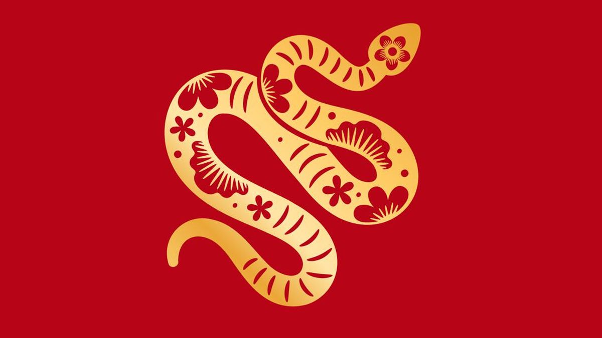 Ramalan Shio Ular 12 Februari 2026: Kreativitas Meningkat dan Peluang Finansial. Foto: Istimewa - mimbarjumat.com