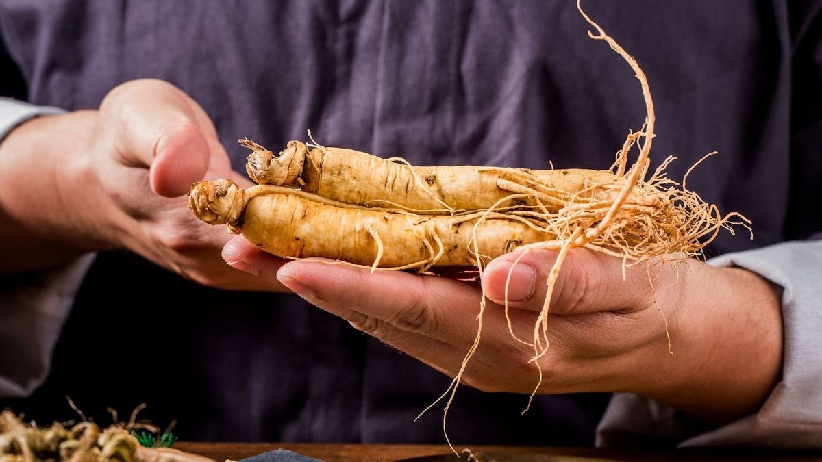 Manfaat Ginseng untuk Kesehatan: Fakta Ilmiah yang Perlu Kamu Tahu.*mimbarjumat.com/ist