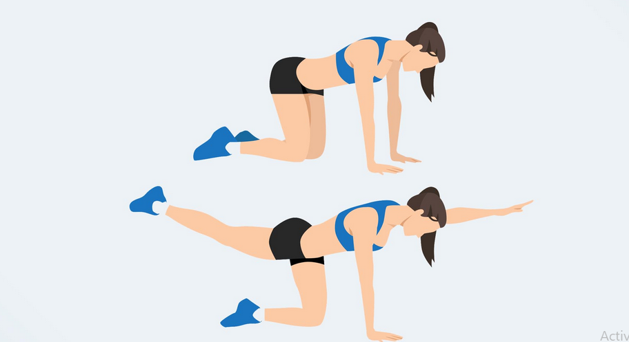 bird dog - olahraga untuk sakit pinggang sebelah kiri